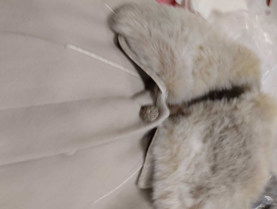 кашмирено палто в добро състояние