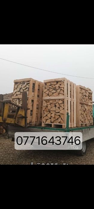 Lemne de foc  fag salcam stejar tăiate despicate paletizate