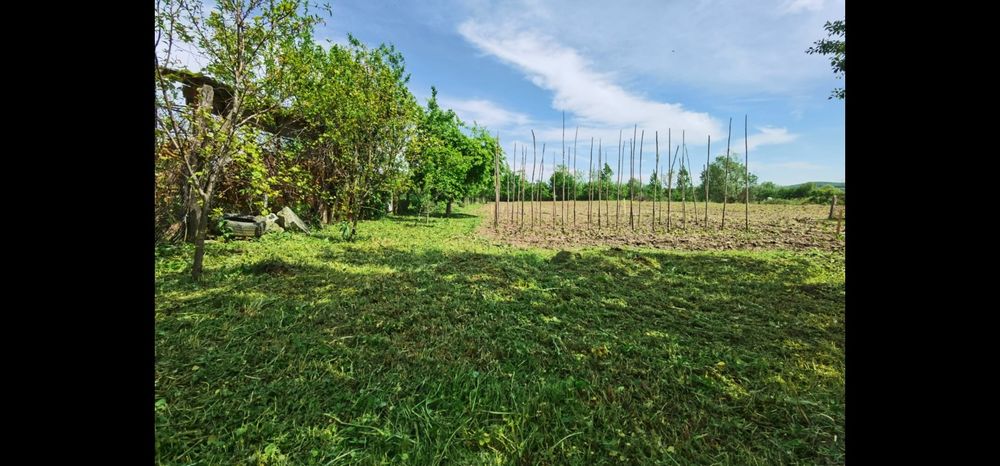 Vand casa - sat Cociu - com Sintereag