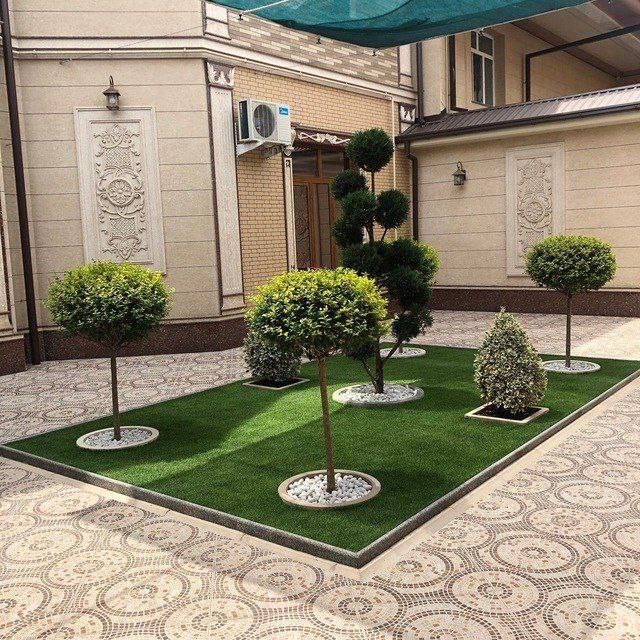 Посев и укладка газона | Gazon ekish va yotqizish hizmati