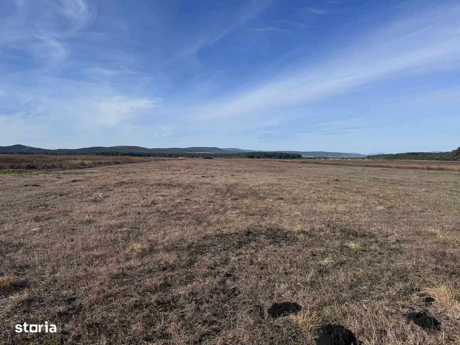 Teren de vanzare in Harman 4,4 Hectare