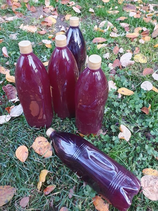 Suc de stuguri natural combinat cu măr