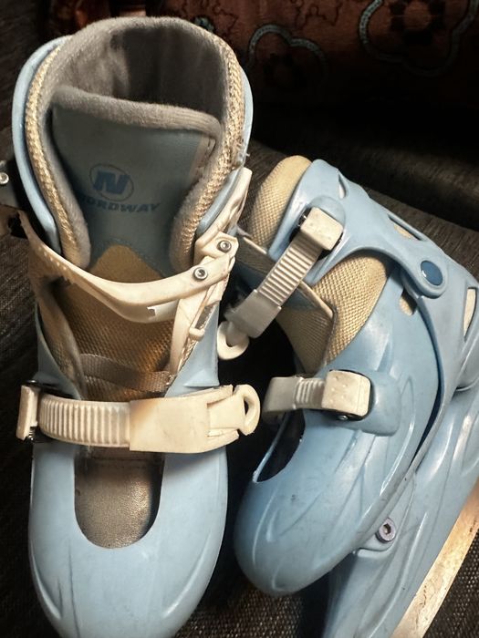 Коньки.            .