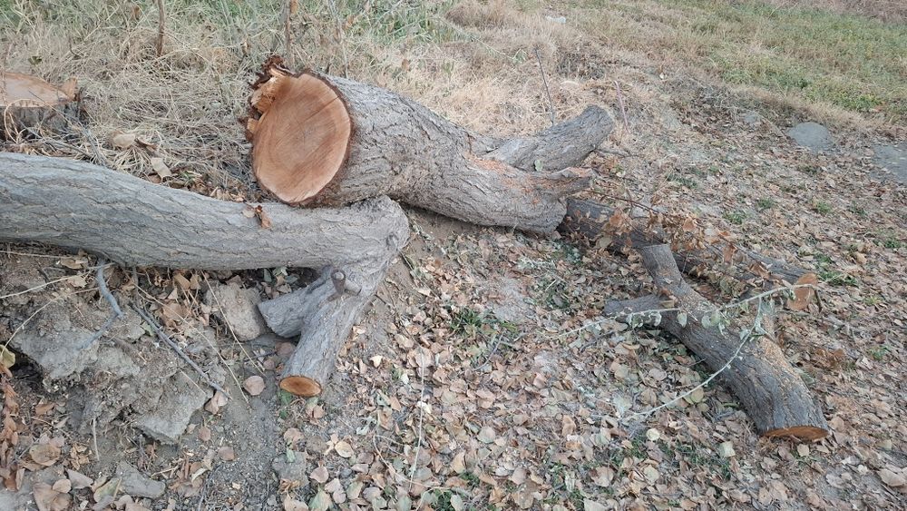 Утин сотилади...