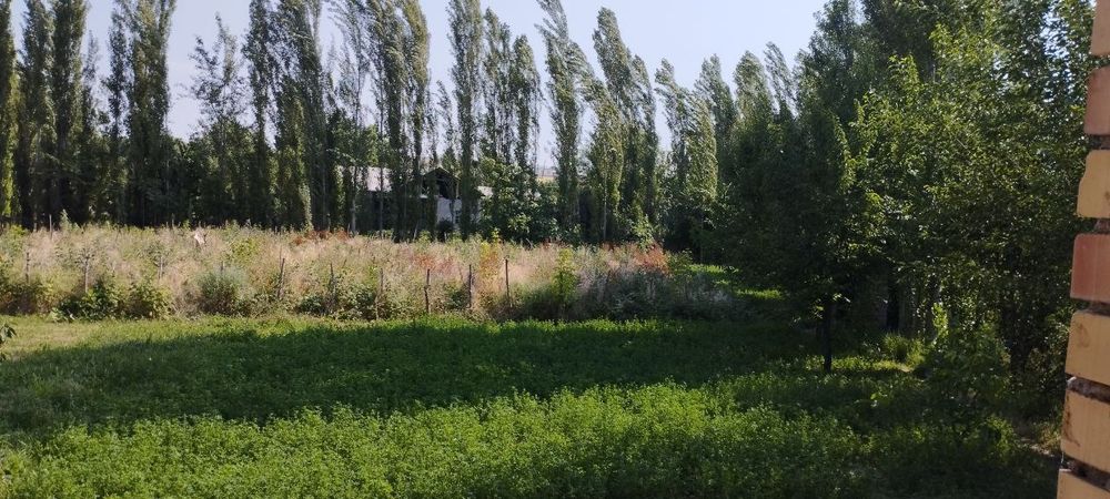 Юкори Чирчик район  Курсай махаллаучастка 20сотих