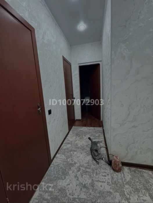 Нужна одна девочка на подселение