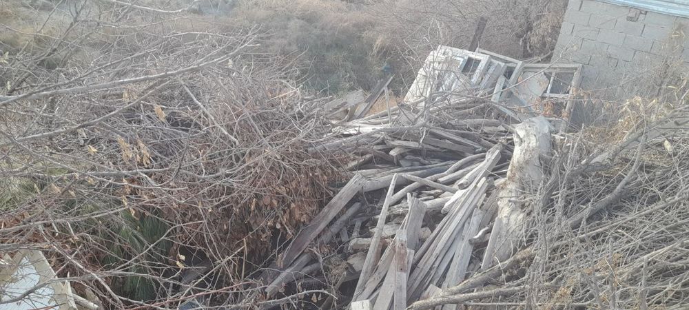 Oʻtin sotiladi derazalar xam bor