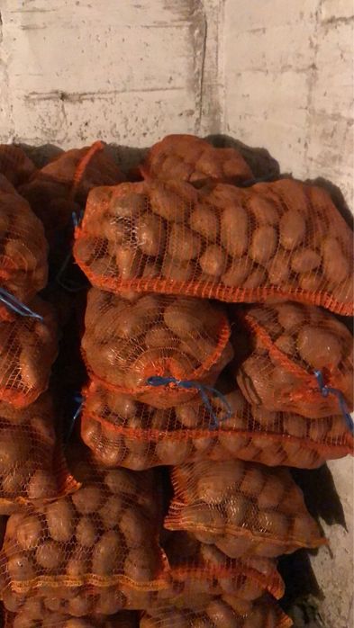 Cartofi consum galbeni si roșii