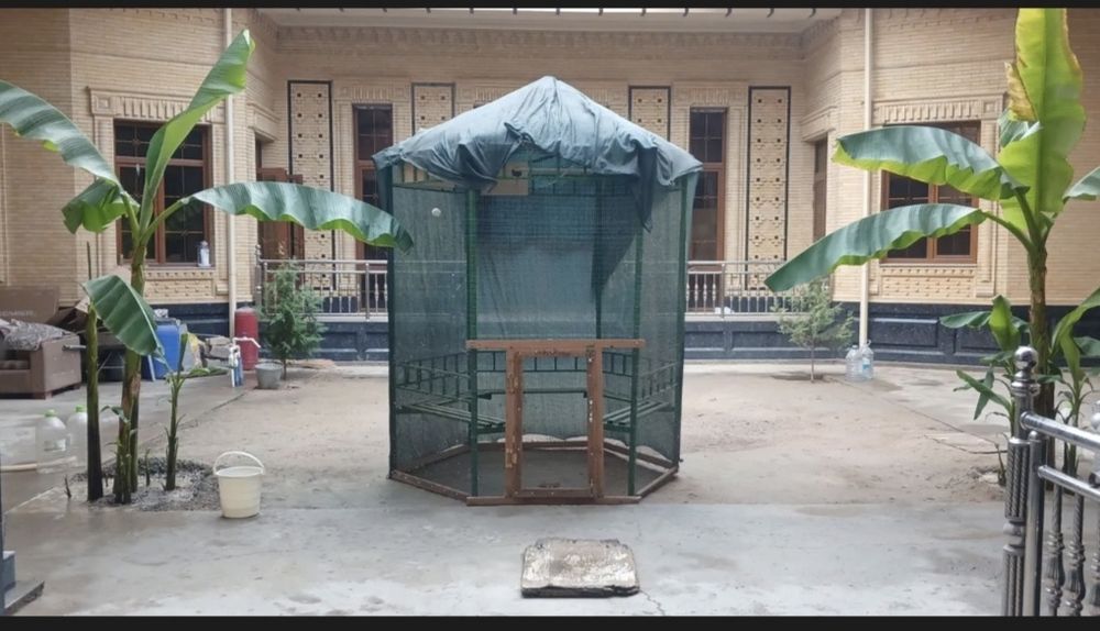 Хачу прадат слишком бистра