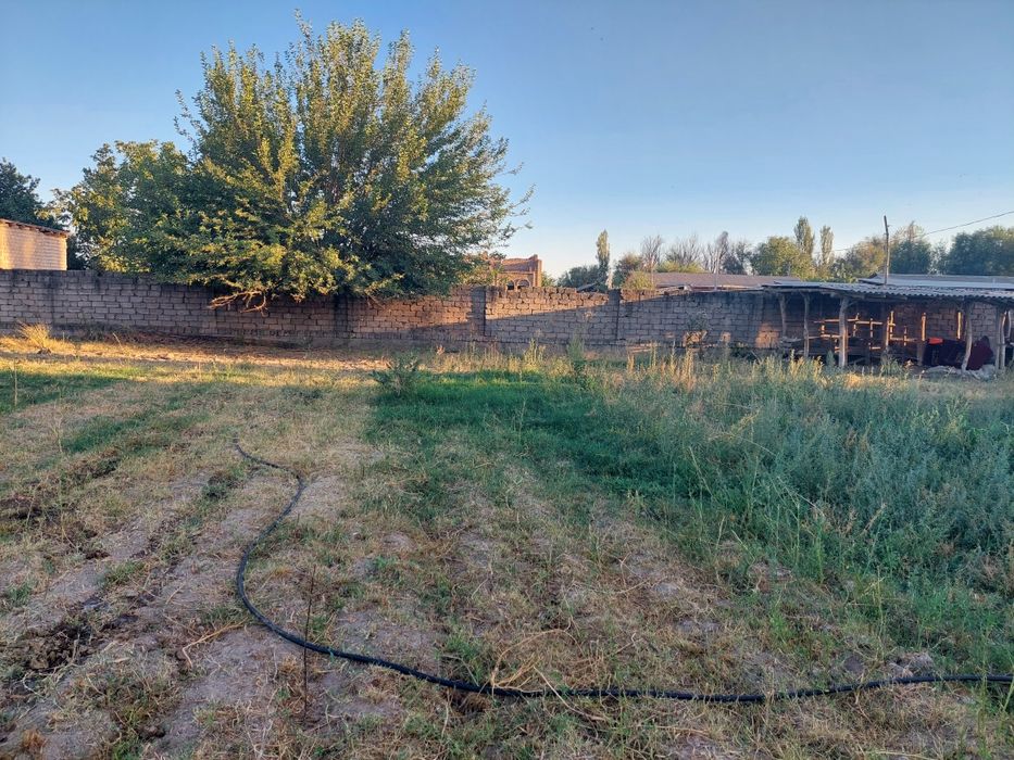 Yer sotladi 10 sotx nurafshon tòytepada