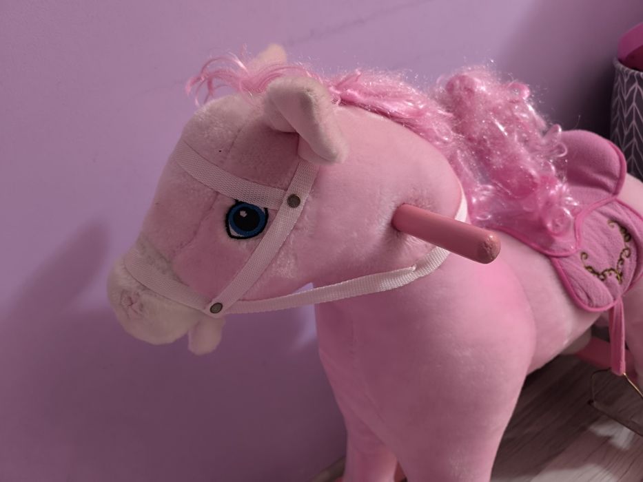 Люлеещо се конче