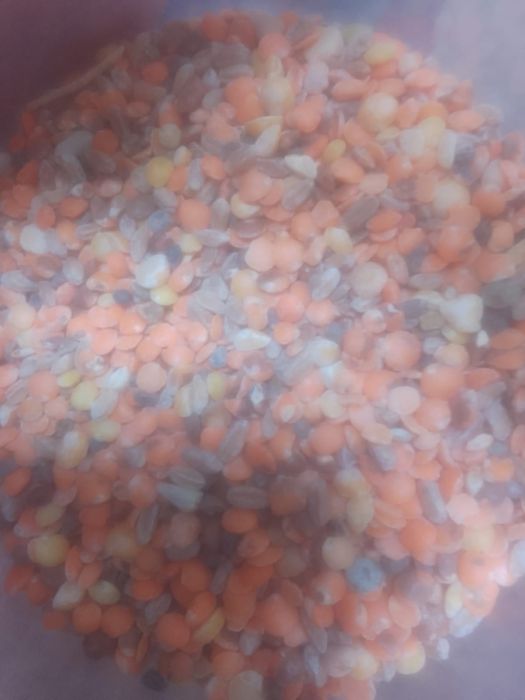 ОТХОДЫ Отруби зерноотходы Полова Овес