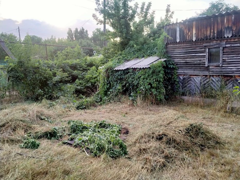 Дача 19 км, 6 соток