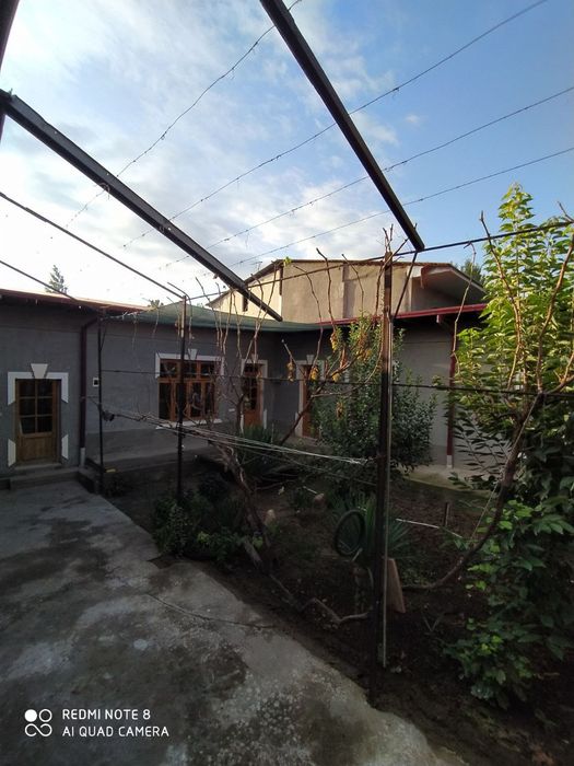 Toshkent viloyati zangi ota tumani eshonguzar