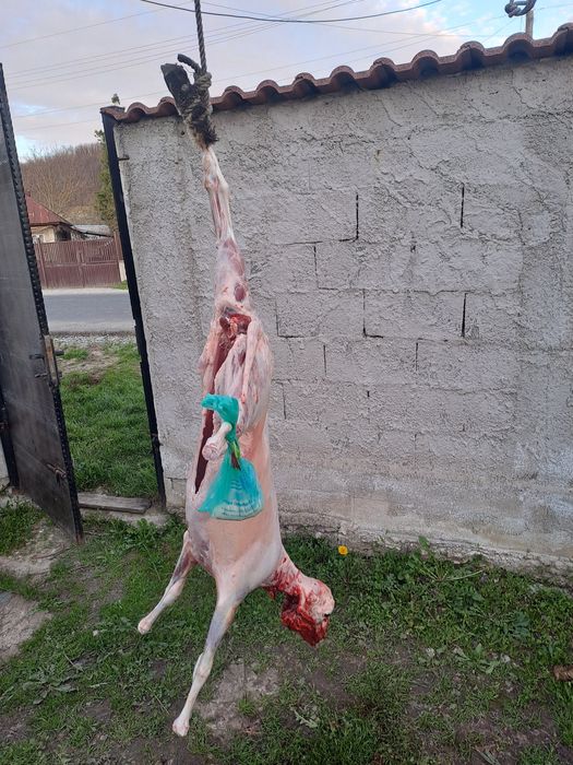 Miei pentru masa de paște