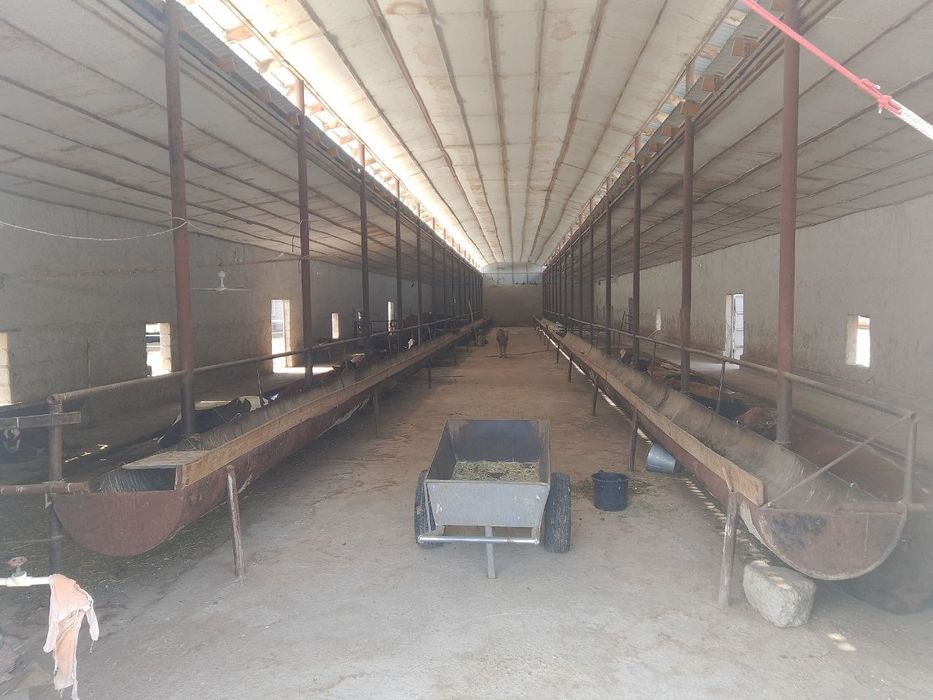 Навоий вилояти Кизилтепа туман марказида жойлашган чорвачилик комплекс