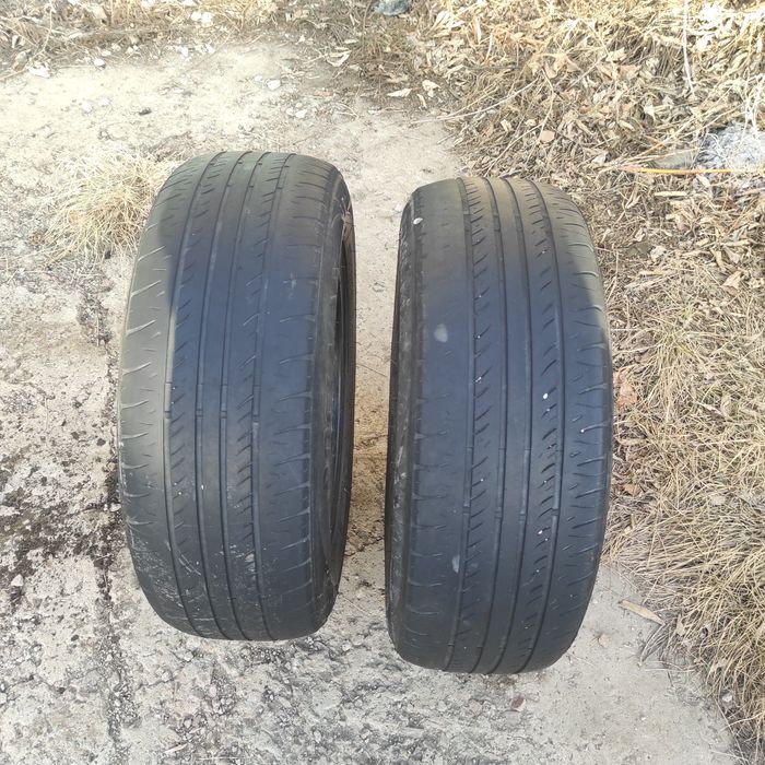 Продам два балона ,185*65 R14