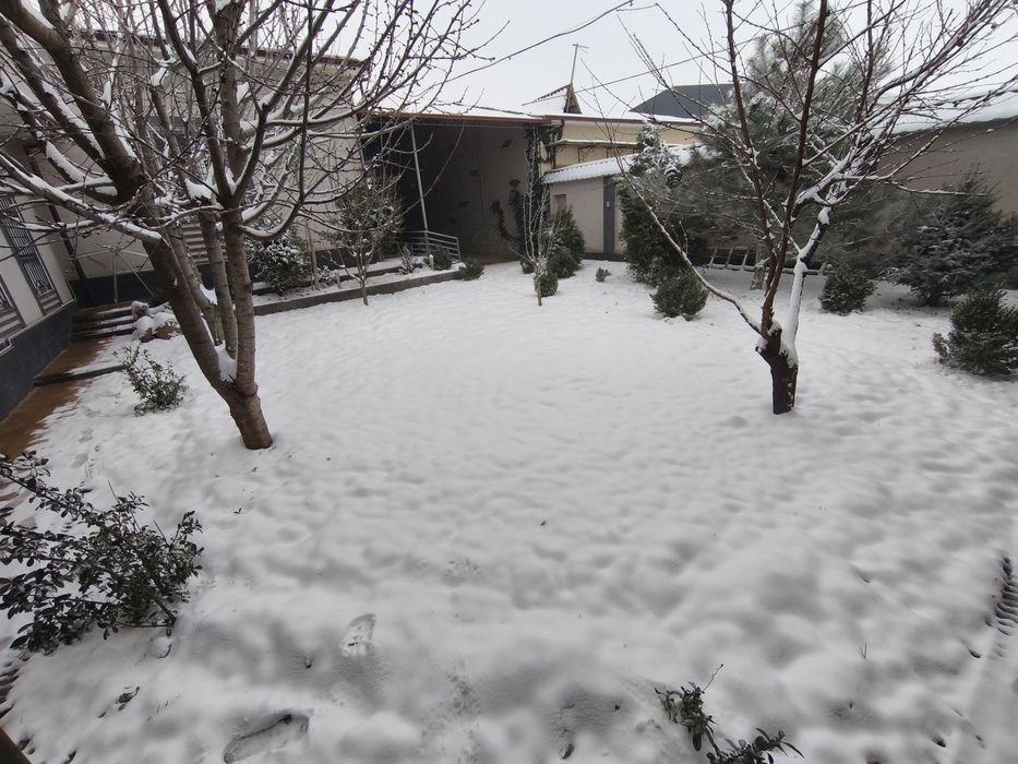 Дача Dacha ойлик/йиллик/месячная/годовая/ аренда