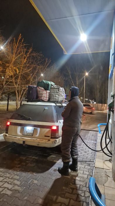 Продам живого субарика