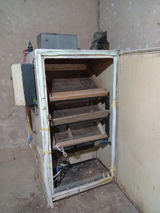 Inkubator sotiladi sastiyanasi yahwi