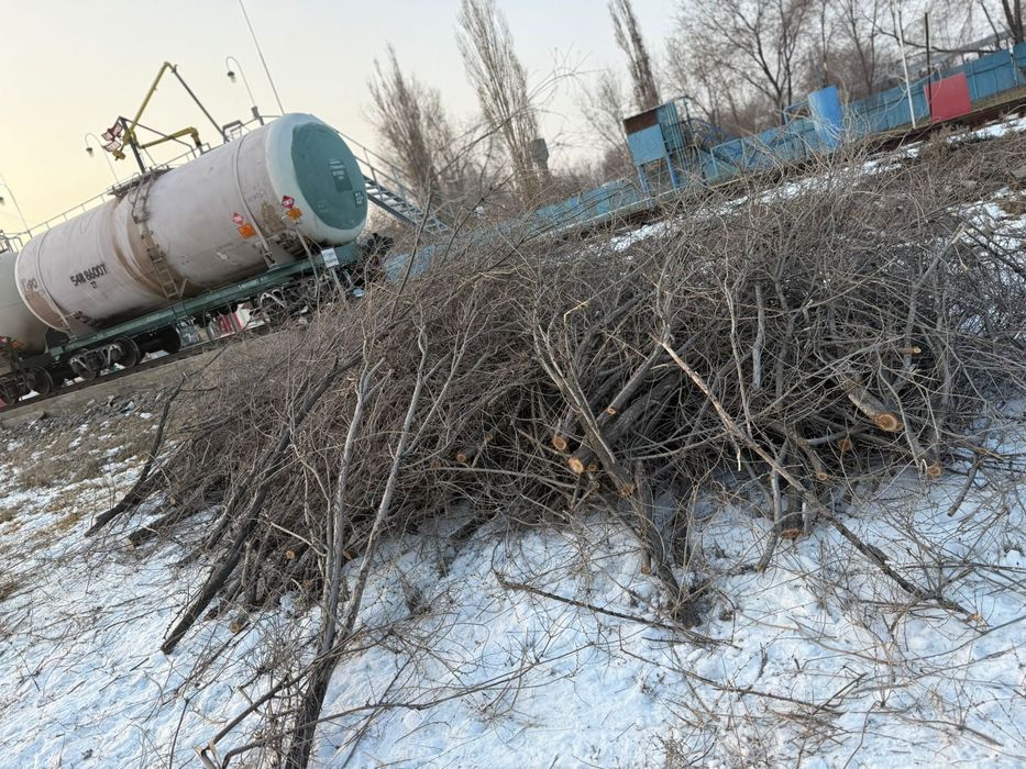 Отдам даром дрова