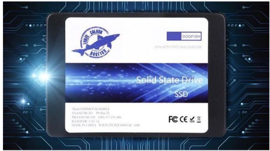 Dogfish SSD 1TB SATA III 2,5-инчов вътрешен твърд диск