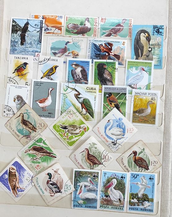 Pasari - timbre de vanzare