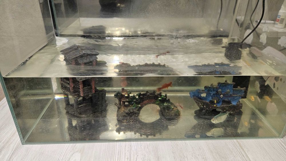 Аквариум, рыбки, фильтр для Аквариума