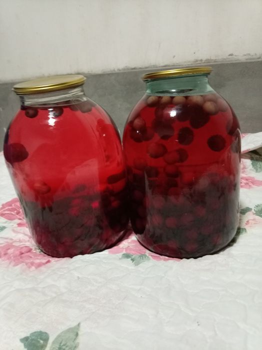 Kanserva kampotla ishonchli