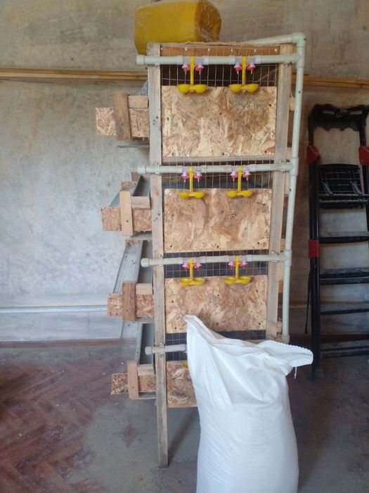 Перепелиная клетка