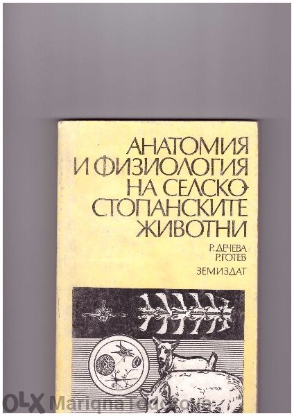 Техническа литература за Вуз и Техникум