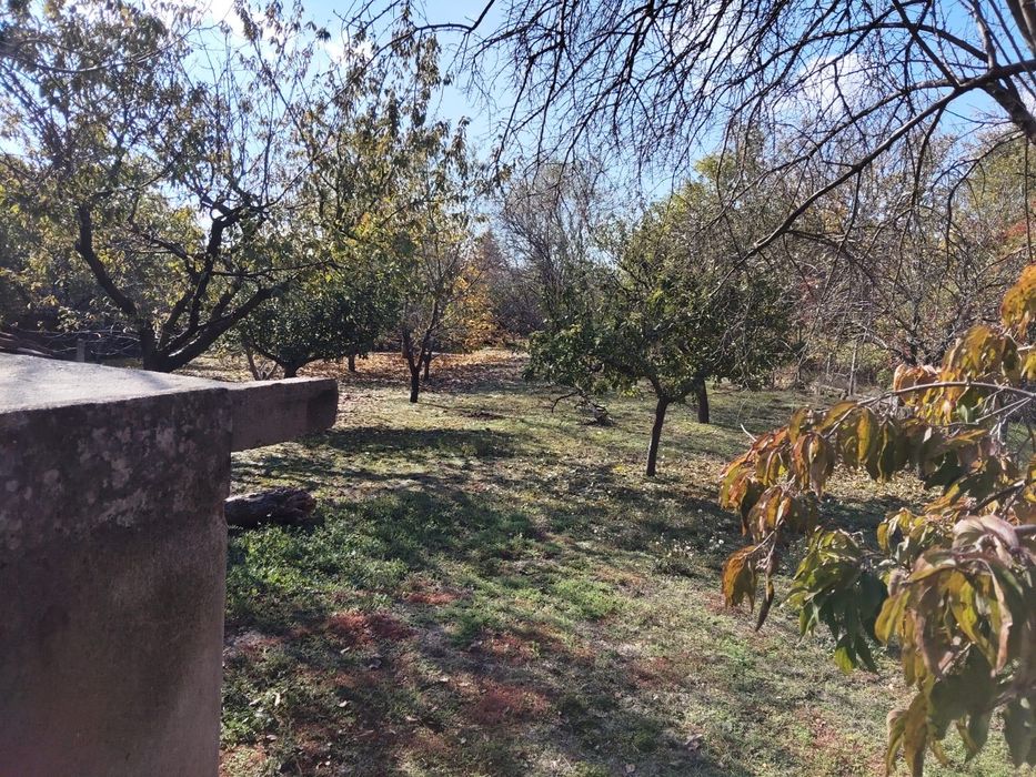 Къща в Екзарх Йосиф