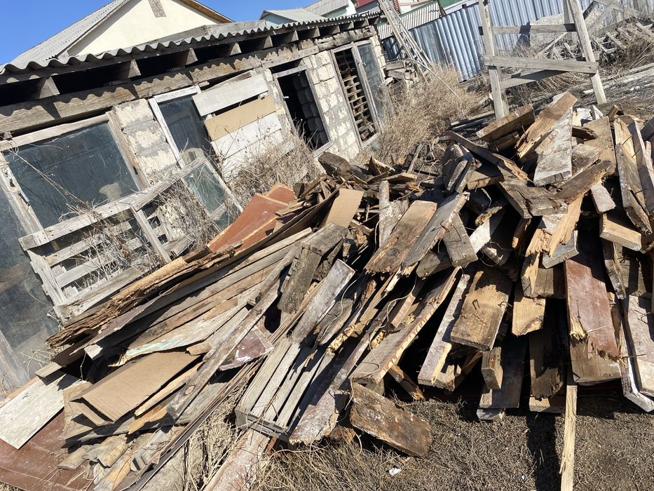 Отынга агаш дерево бесплатно