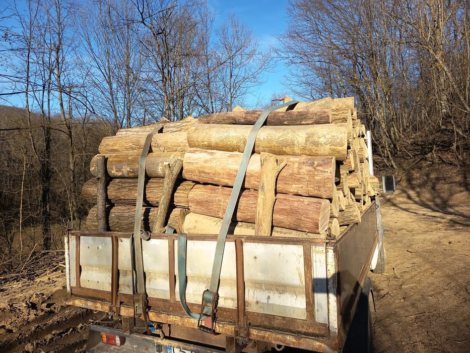 Lemne de foc , esență tare! Fag, Carpen, Stejar, Salcâm