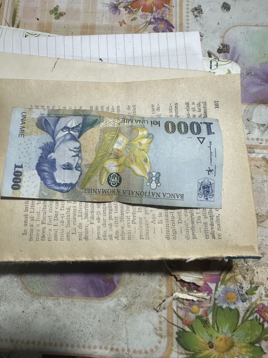 Bancota 1000lei romaneasca