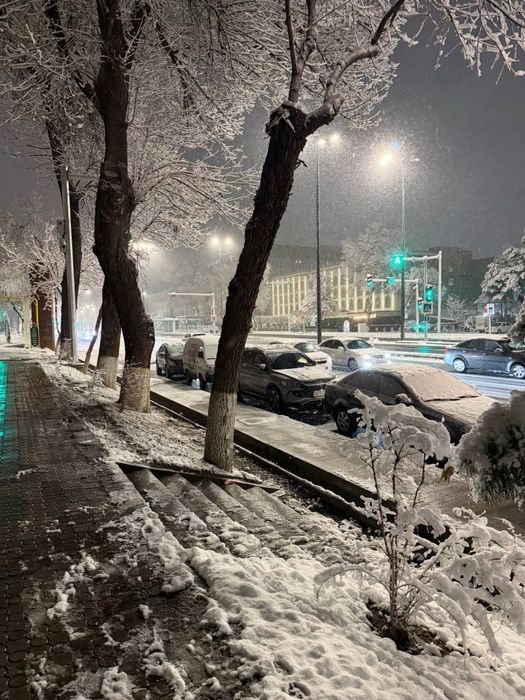 Нежилое помещение Шото Руставели