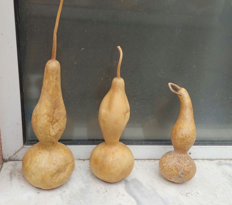 Картунки декоративни