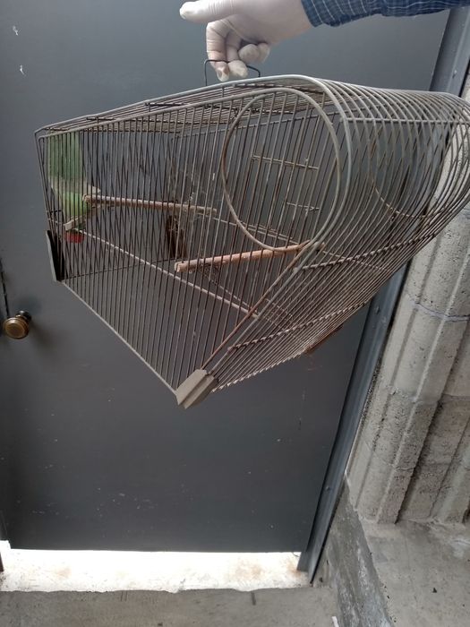 Продам клетку для птиц