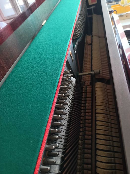 Продам пионинина