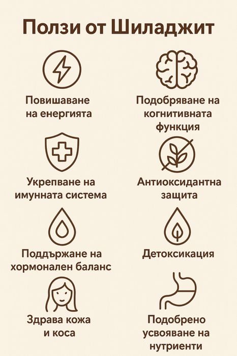 Shilajit Шиладжит желирани мечета 60бр.