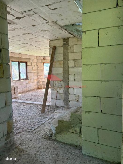 Casa P+E, Tarlisua