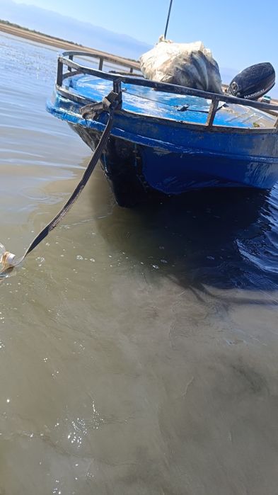 Лодка с мотором  продам