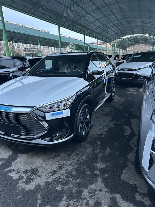 BVD song plus 2023 yil