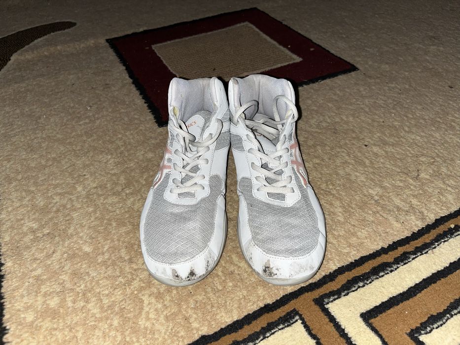 Борцовка сатылад,продаются