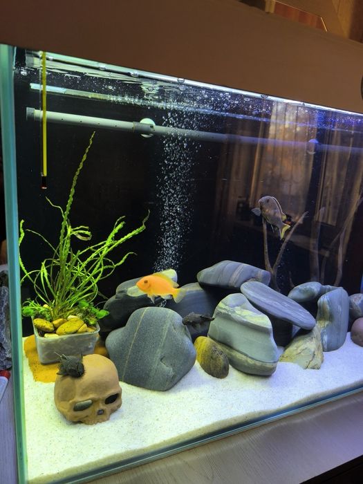 Продам аквариум 170 литров