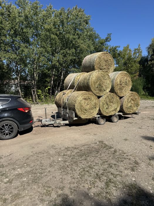 Baloti rotunzi lucerna coasa 2 si 3