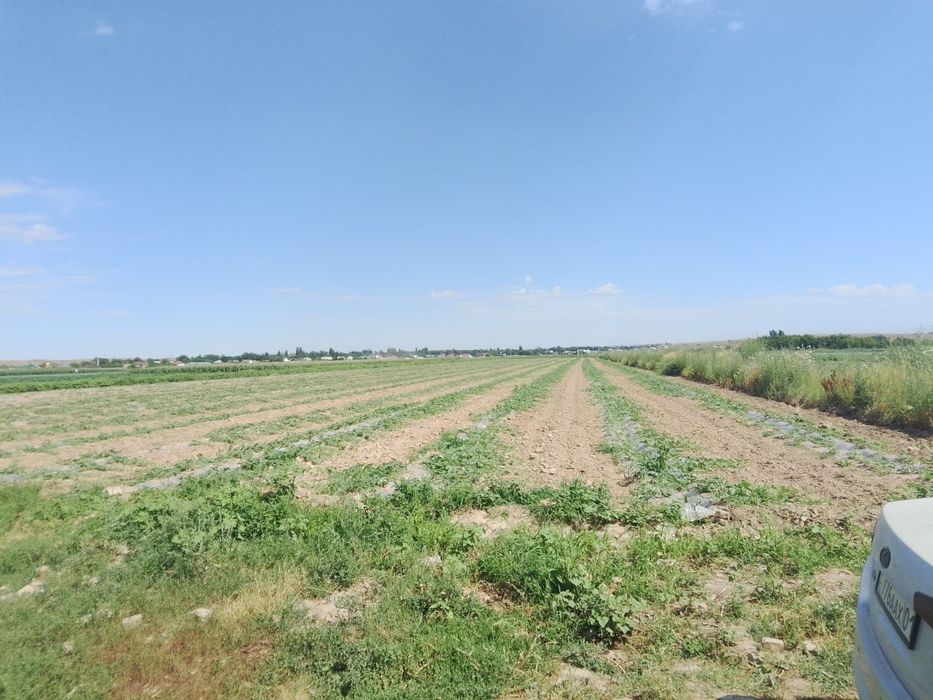 Продается с/х земля