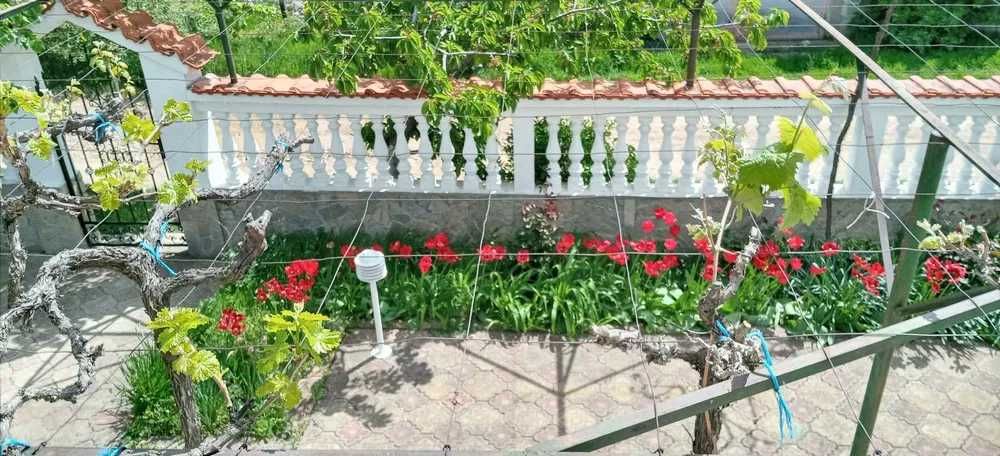 Продава се Къща в с. Енина, Област Стара Загора - 240 кв.м за 510 €/кв.м - Снимка #14