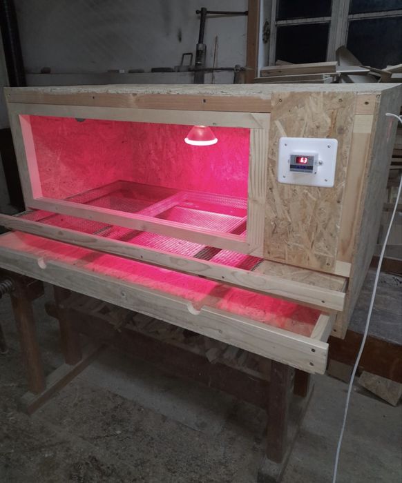 Maternități creștere pui