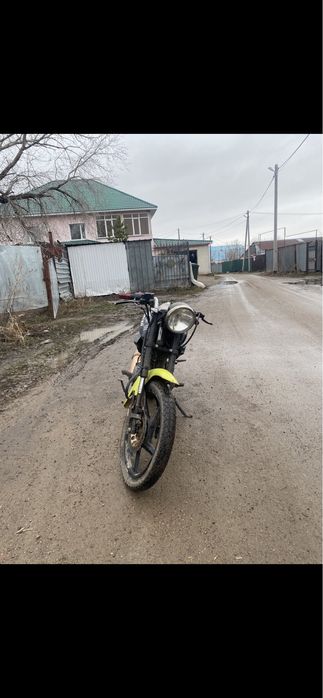 Продам рейсер тигр